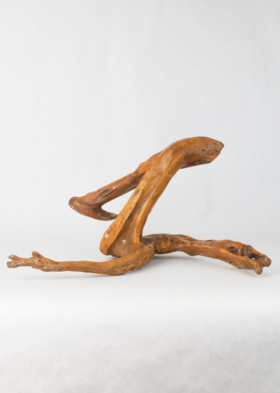 Driftwood Branch